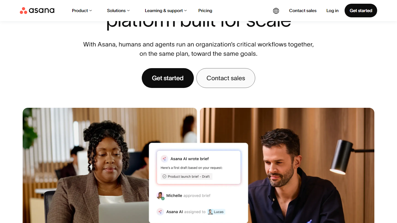 Asana interface screenshot