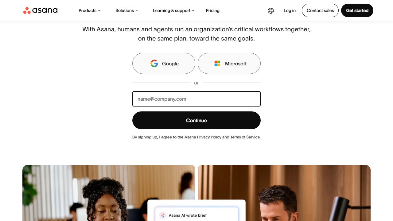 Asana interface screenshot