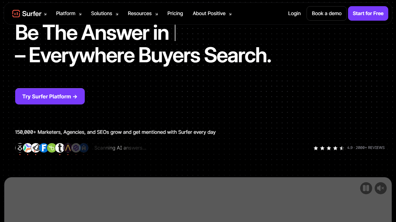 Surfer-Seo interface screenshot