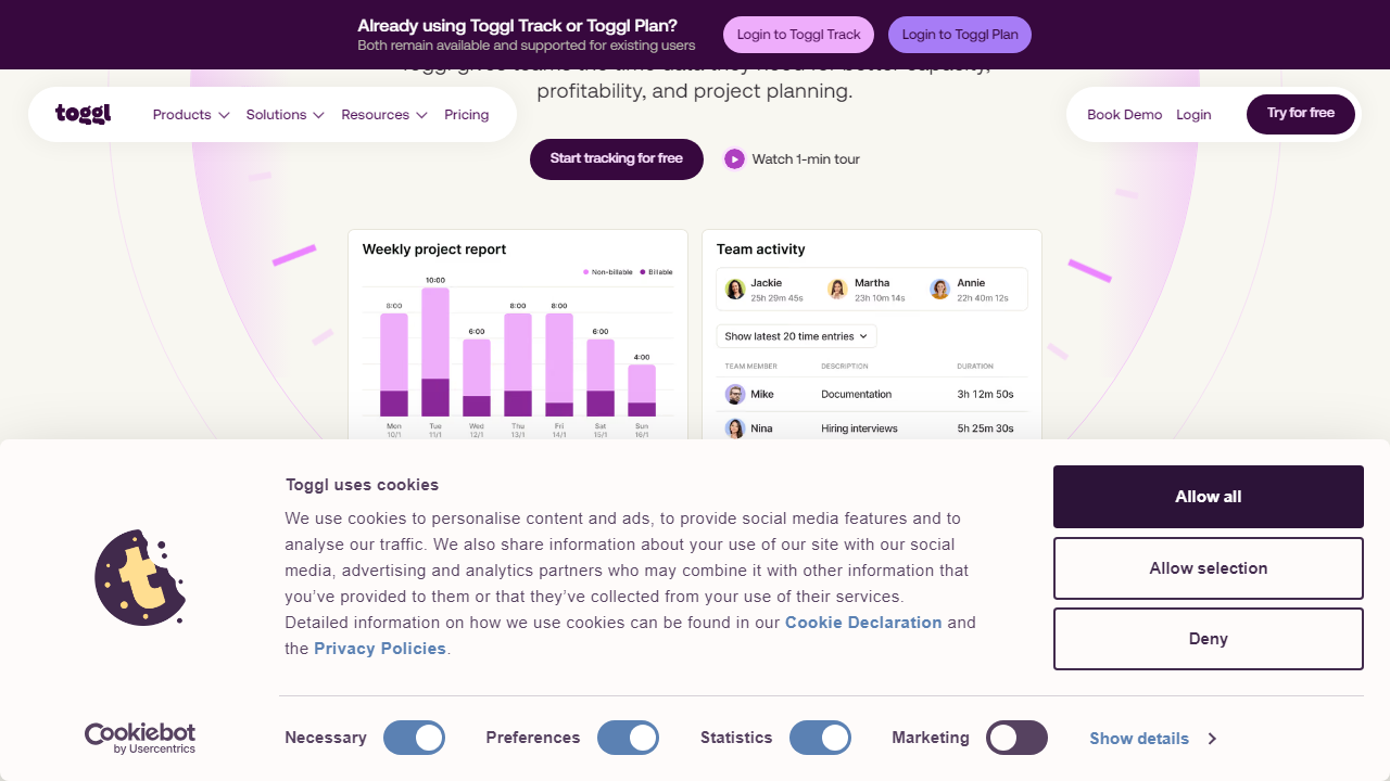 Toggl interface screenshot